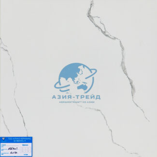 Z-X66801